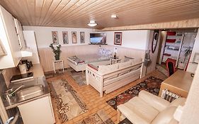Mukava kellarihuoneisto jossa sauna ja poreallas